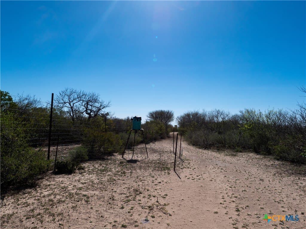 145 acres in Live Oak County - photo 7