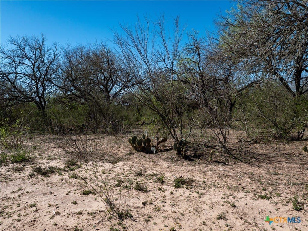 145 acres in Live Oak County - photo 18