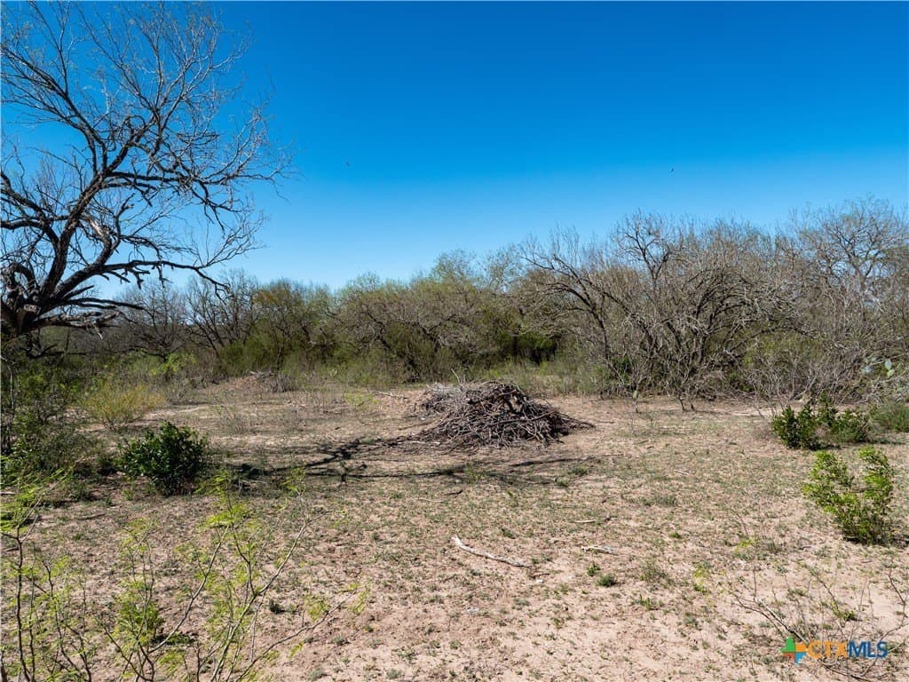 145 acres in Live Oak County - photo 17