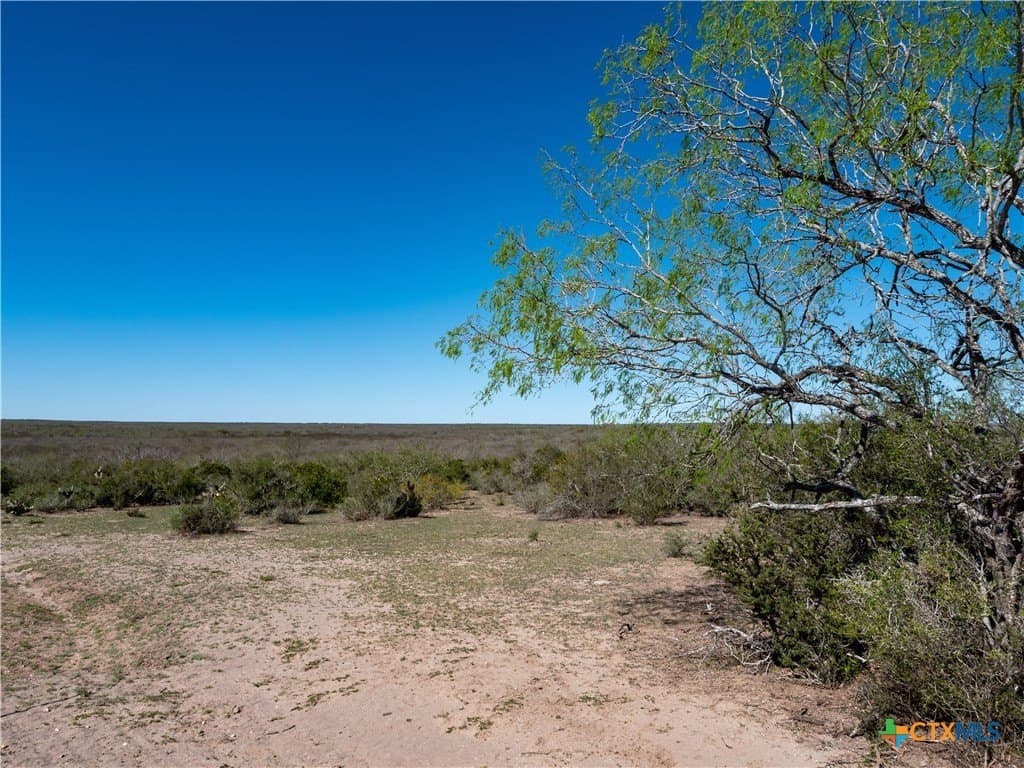 145 acres in Live Oak County - photo 8