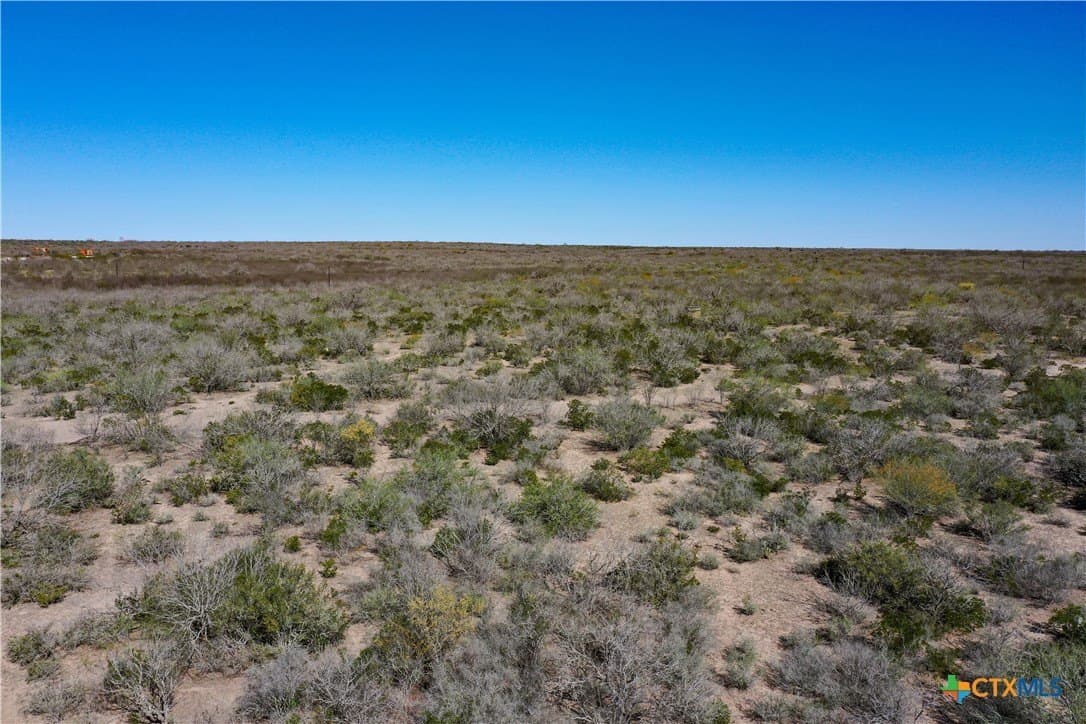 145 acres in Live Oak County - photo 44