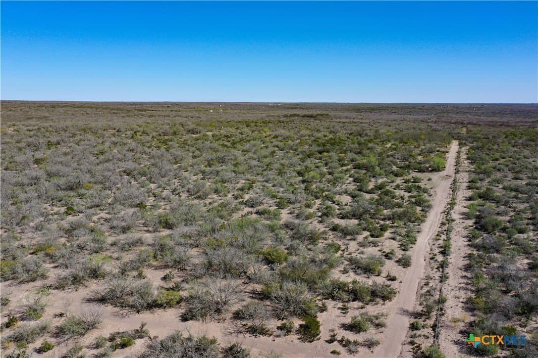 145 acres in Live Oak County - photo 40