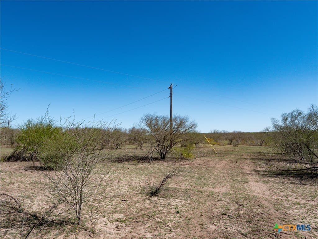 145 acres in Live Oak County - photo 22