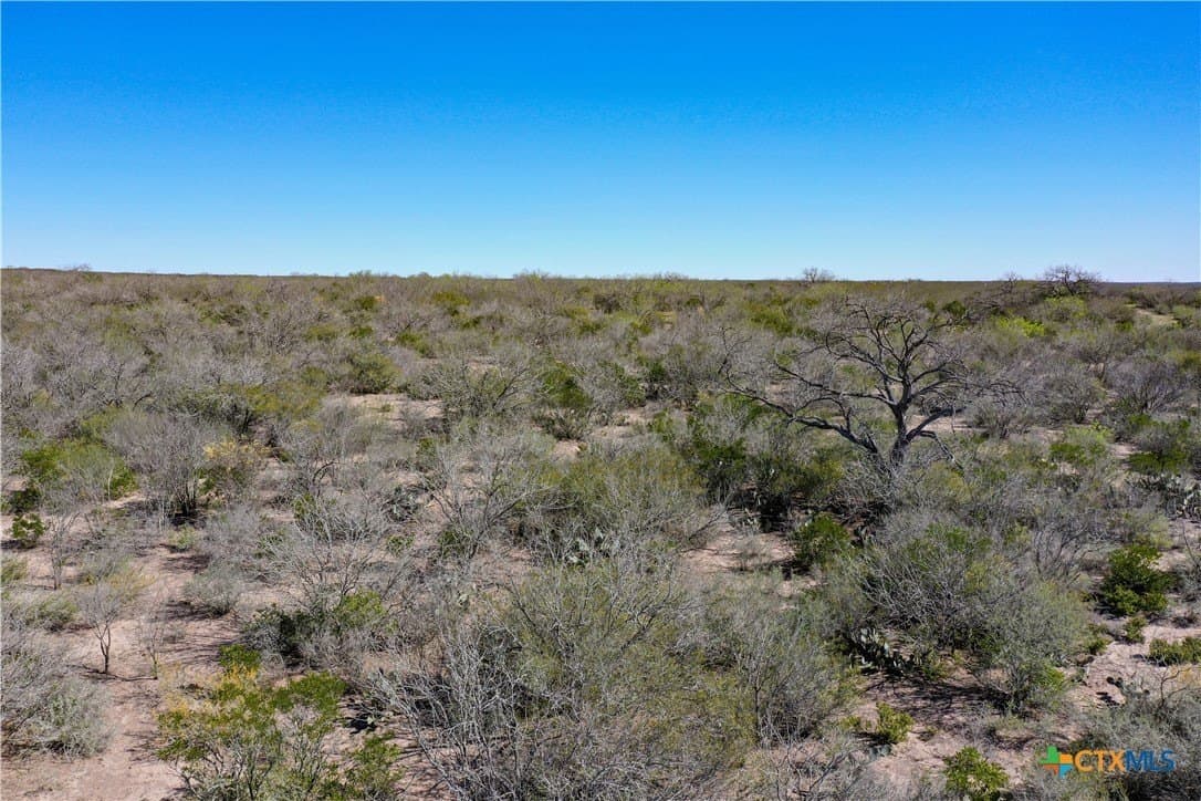 145 acres in Live Oak County - photo 43