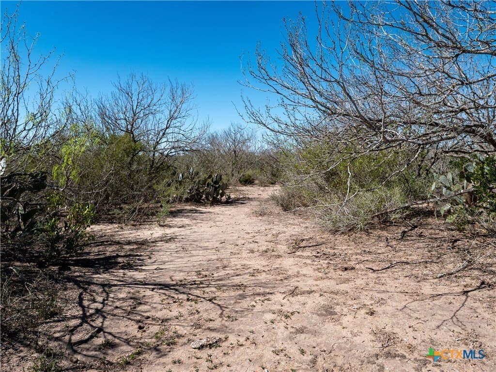 145 acres in Live Oak County - photo 14