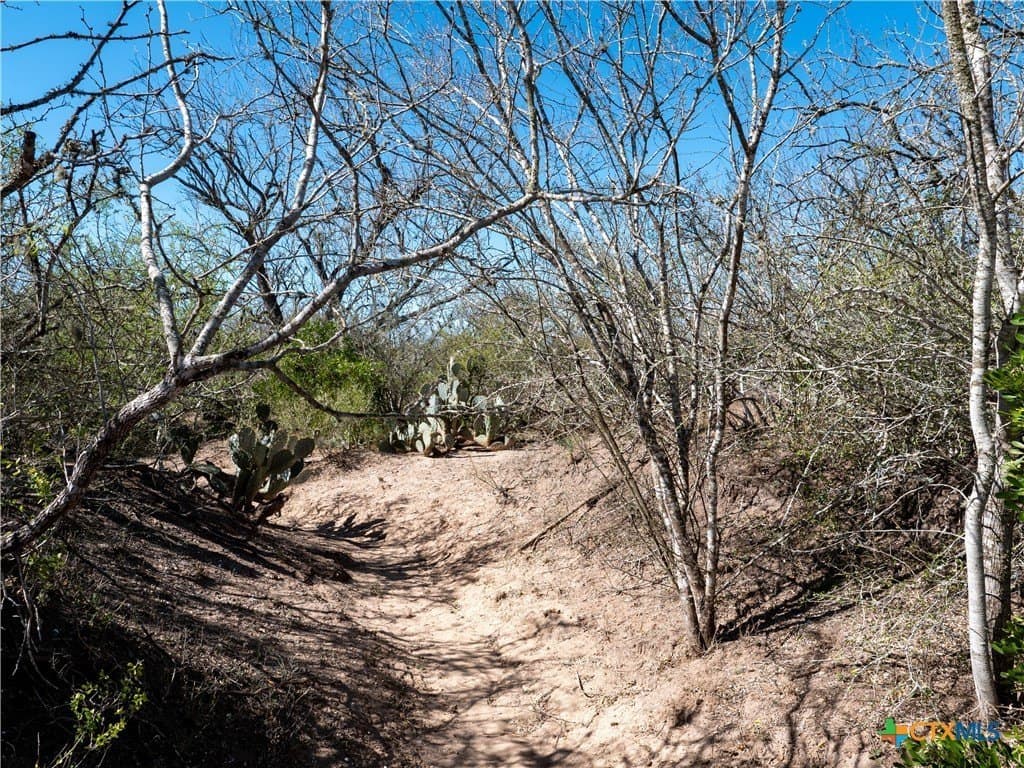 145 acres in Live Oak County - photo 13