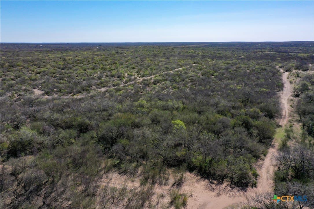 145 acres in Live Oak County - photo 34