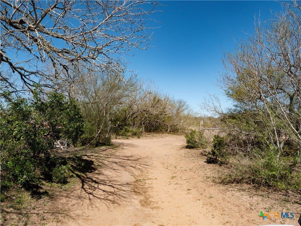 145 acres in Live Oak County - photo 20