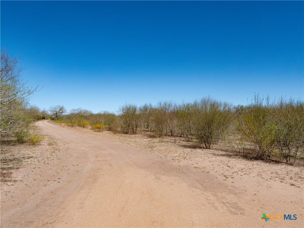 145 acres in Live Oak County - photo 21