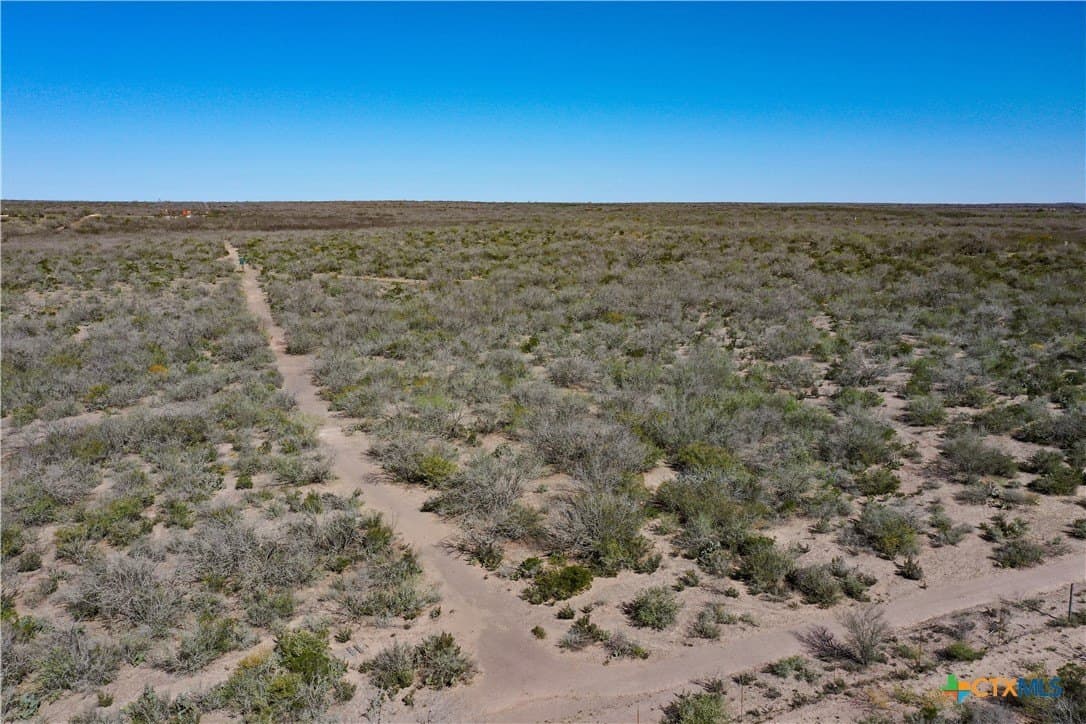 145 acres in Live Oak County - photo 41