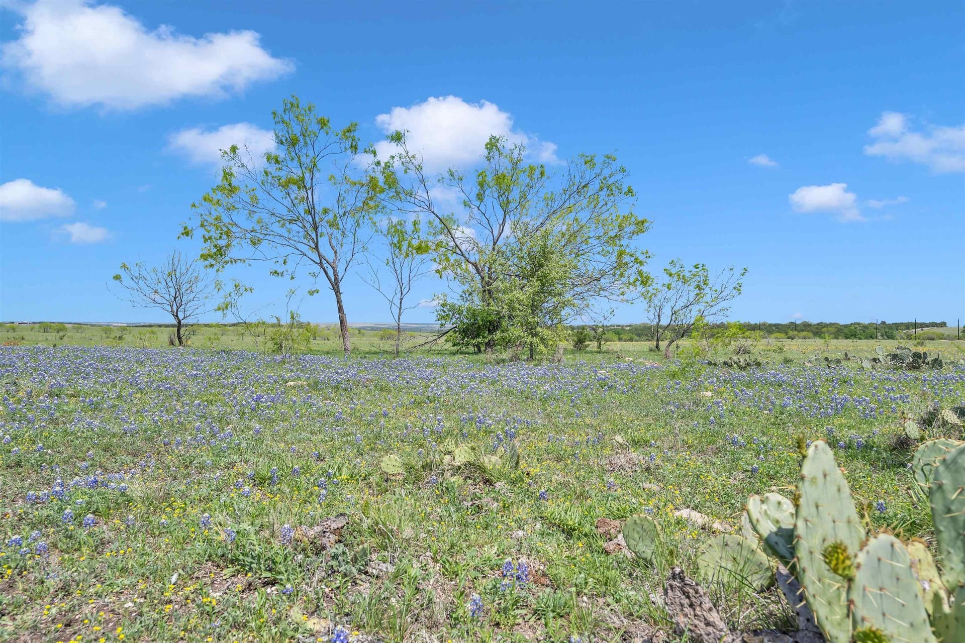 21.38 acres in Burnet County gallery image 4