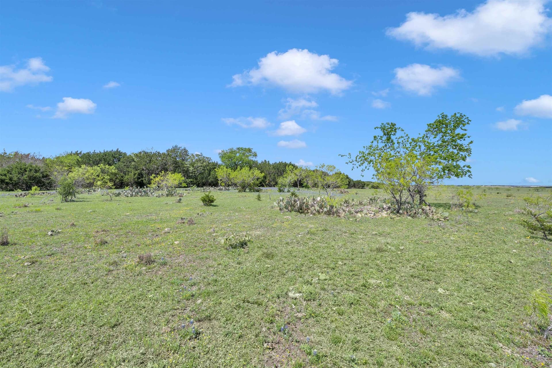 21.38 acres in Burnet County - photo 9