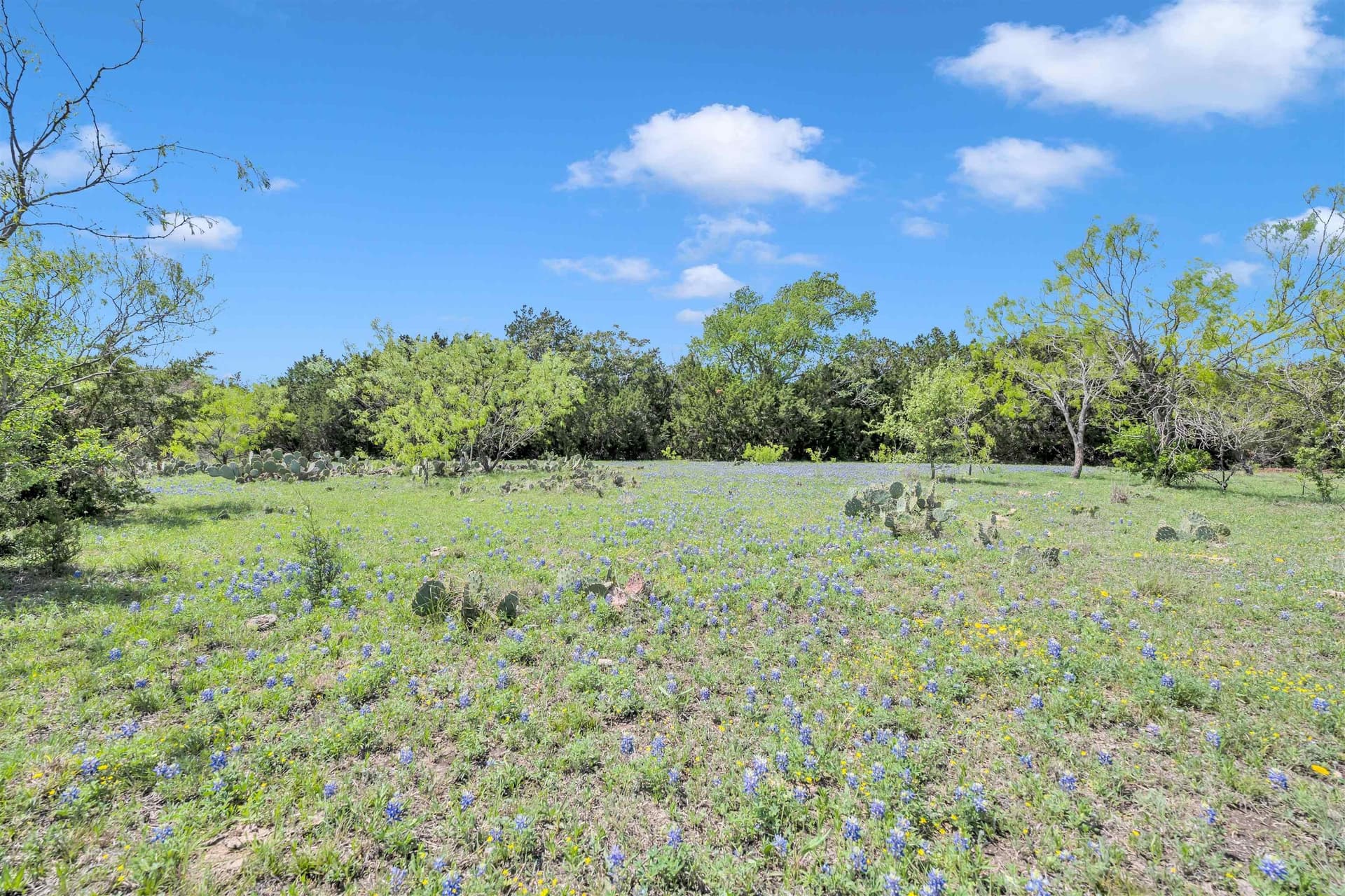 21.38 acres in Burnet County - photo 6