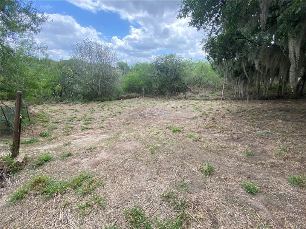 100,000 acres in Live Oak County - photo 4