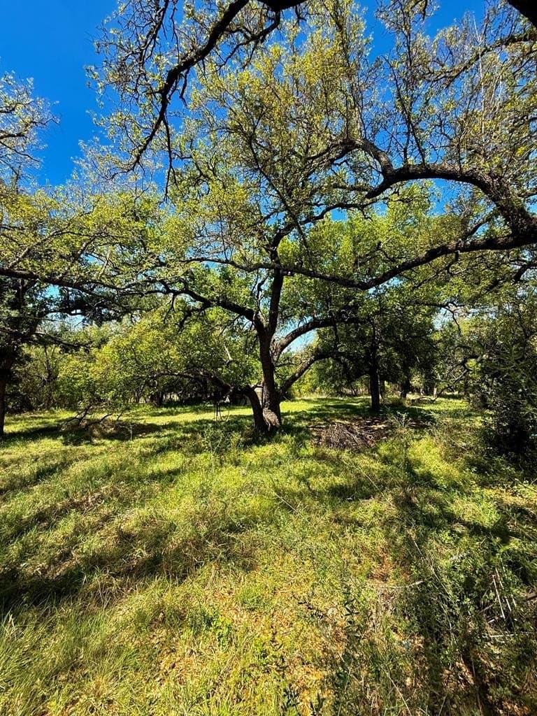 12.7 acres in Llano County - photo 25