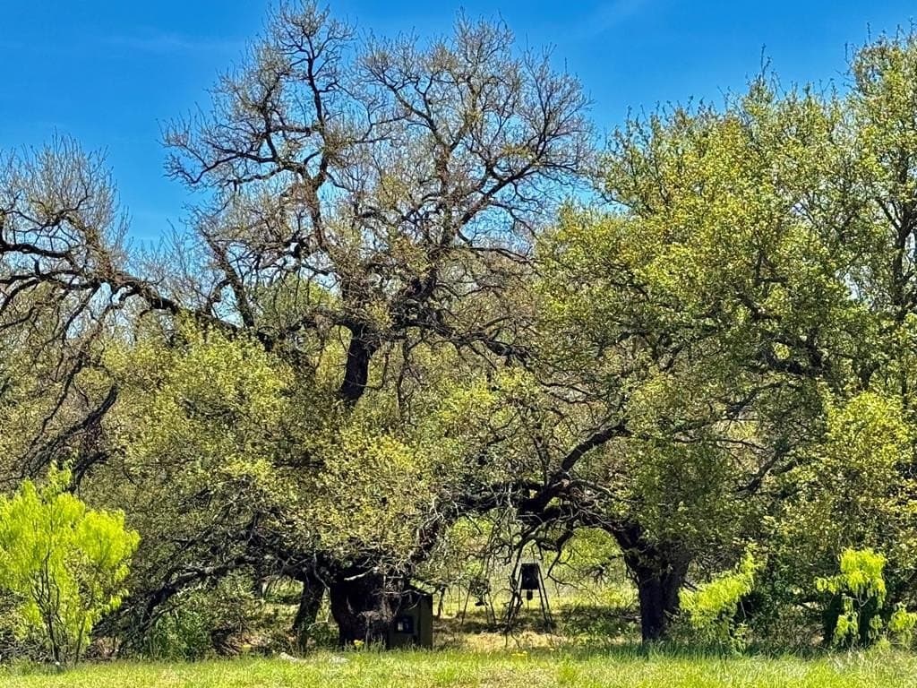 12.7 acres in Llano County - photo 23