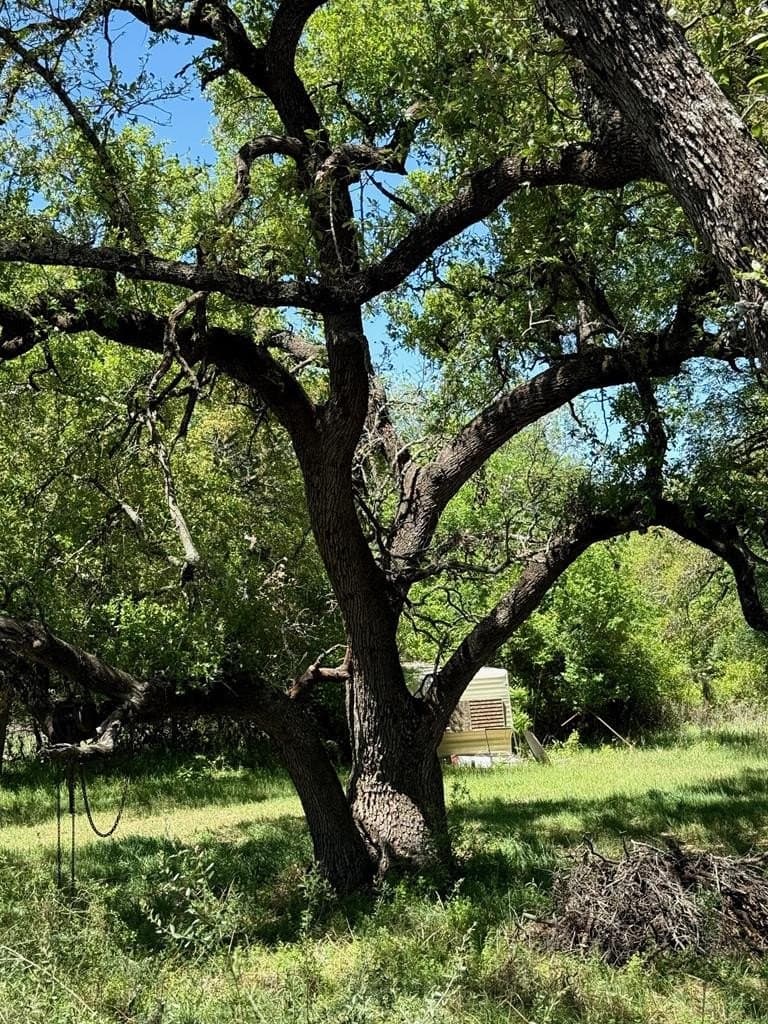 12.7 acres in Llano County - photo 24