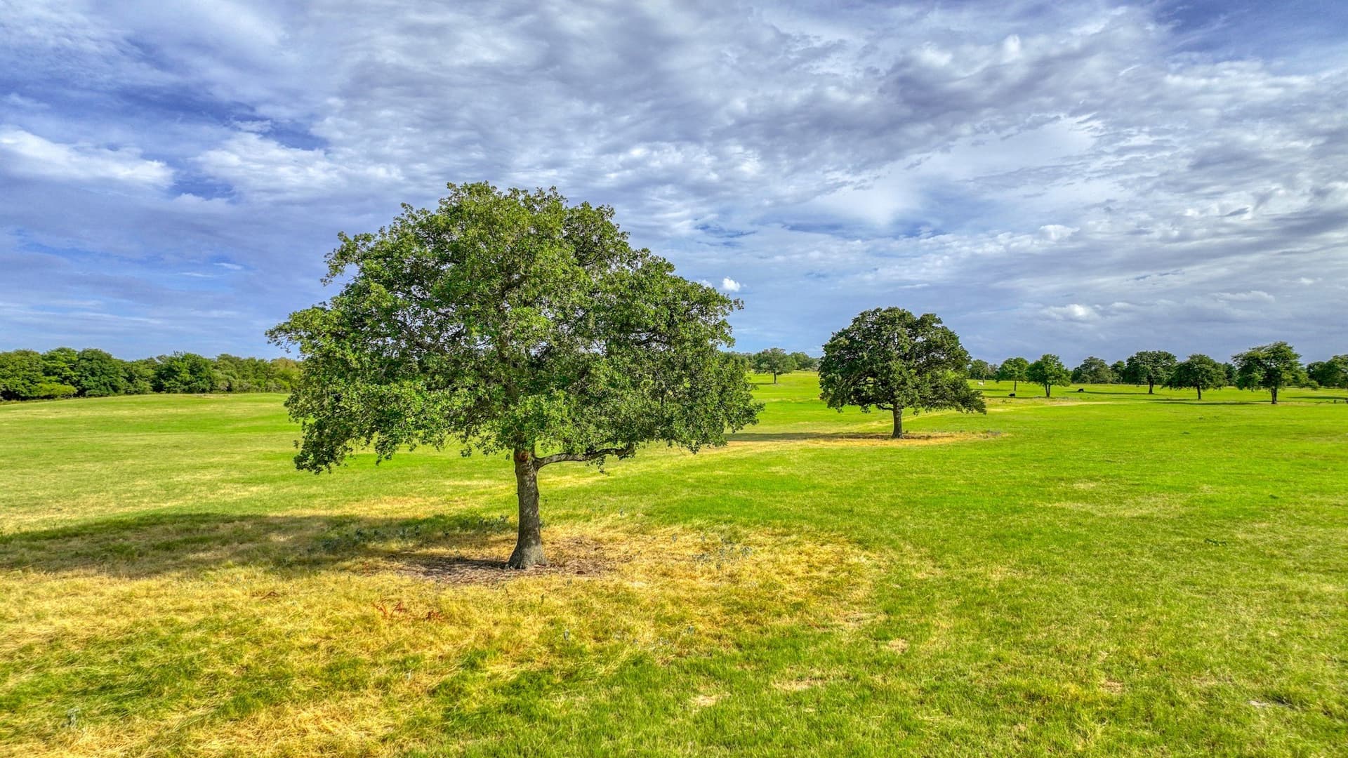 10 acres in Parker County - photo 14