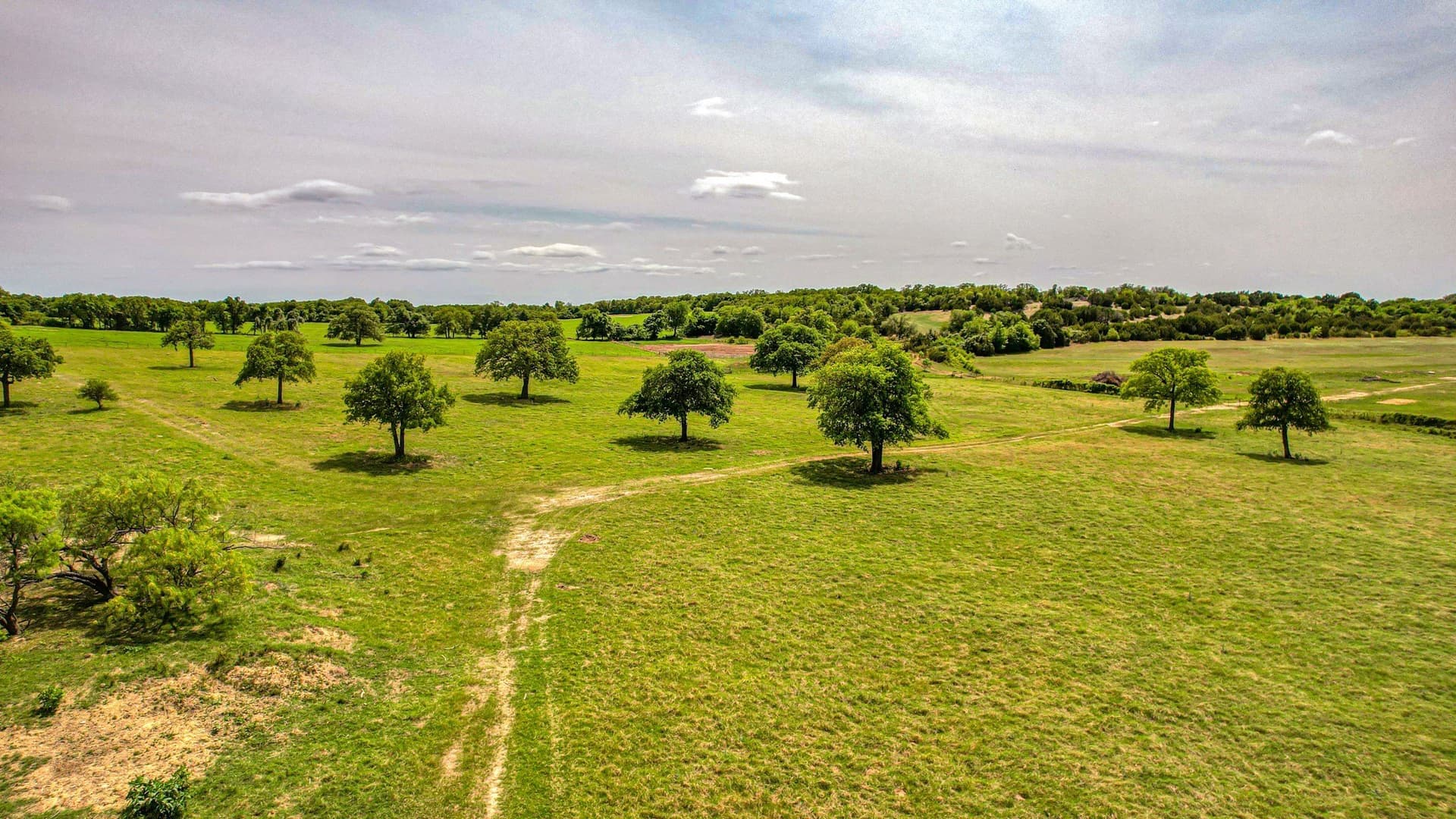 10 acres in Parker County - photo 6