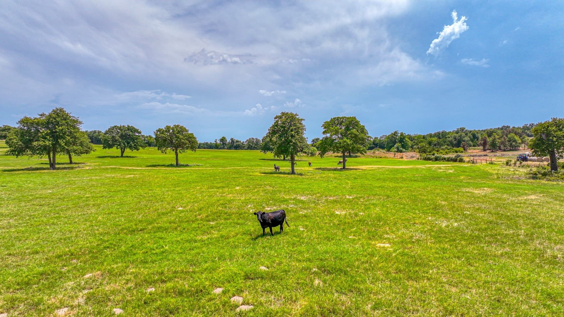 10 acres in Parker County - photo 10