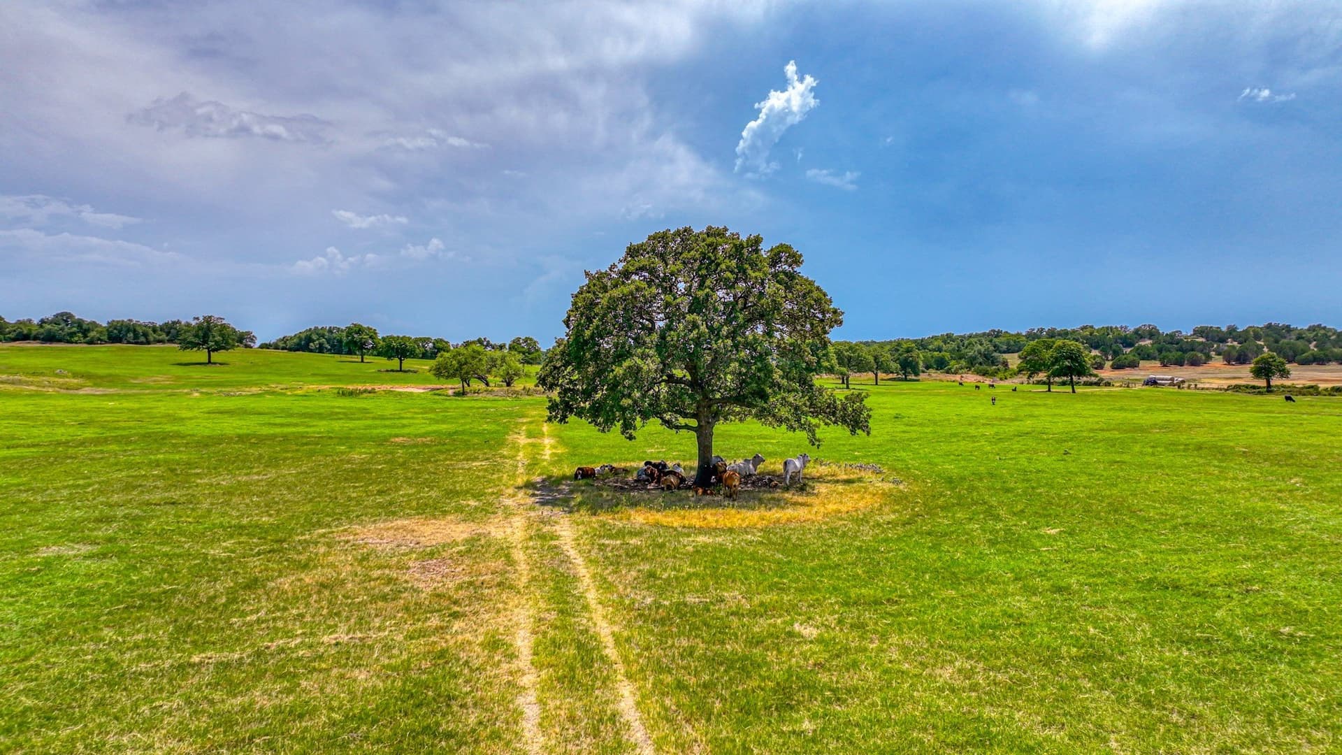 10 acres in Parker County - photo 9