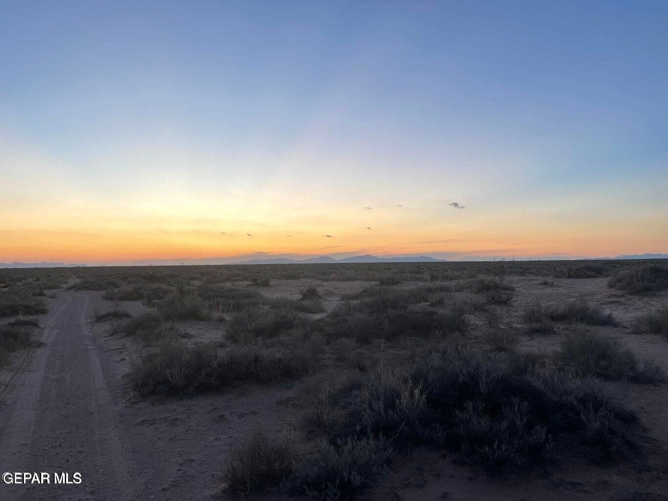 0.83 acres in El Paso County gallery image 2