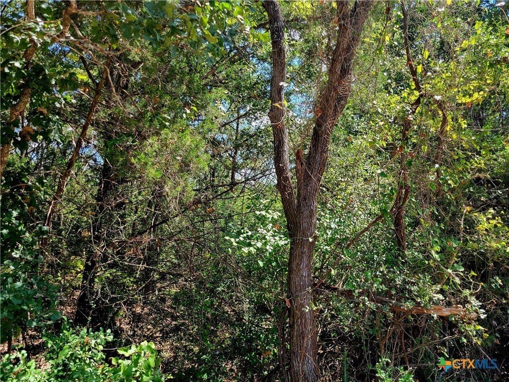6.96 acres in Caldwell County - photo 6
