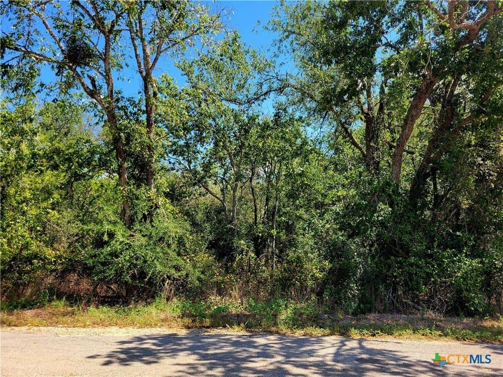 6.96 acres in Caldwell County gallery image 2