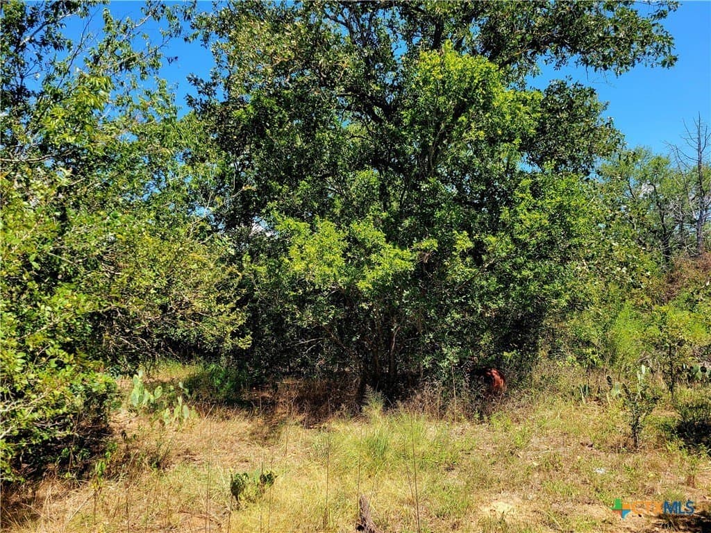 6.96 acres in Caldwell County gallery image 3