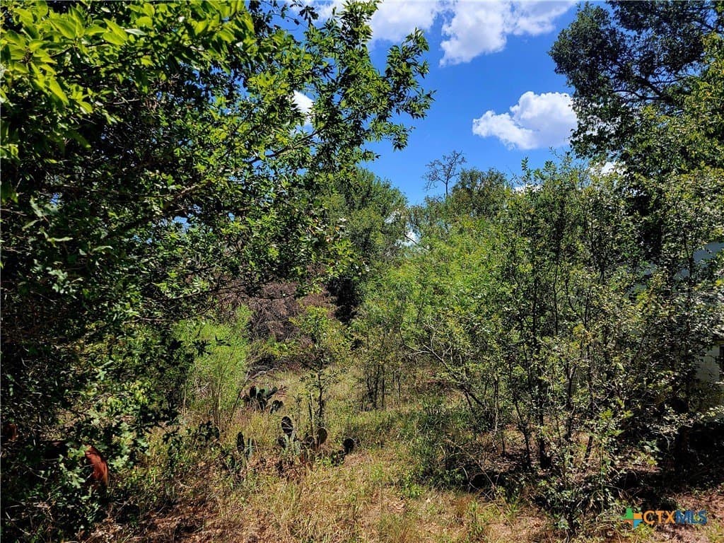 6.96 acres in Caldwell County gallery image 4