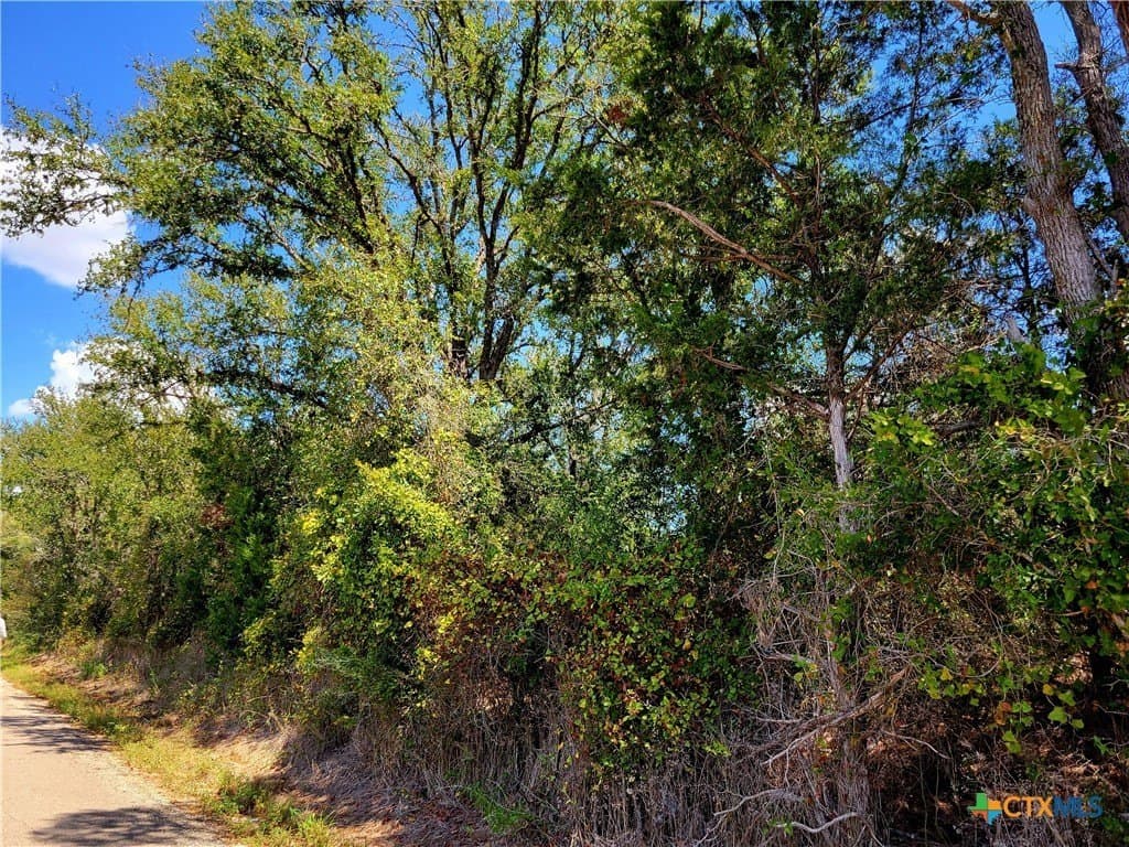 6.96 acres in Caldwell County featured view