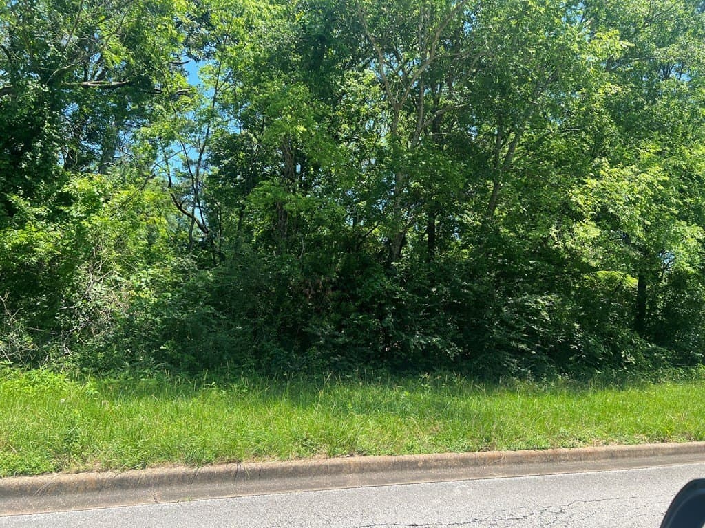 0.06 acres in Texas County - photo 2