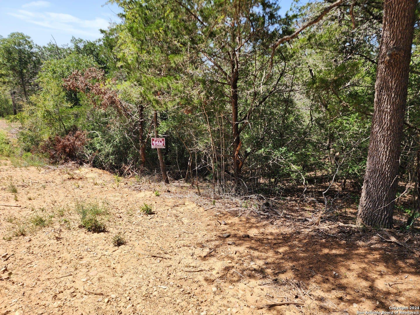0.29 acres in Bastrop County featured view