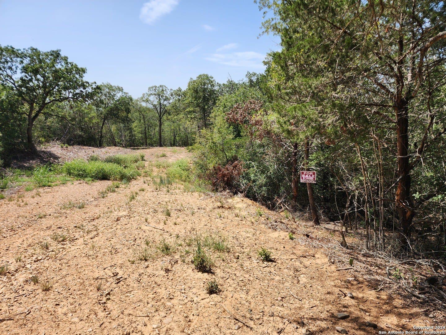 0.29 acres in Bastrop County
