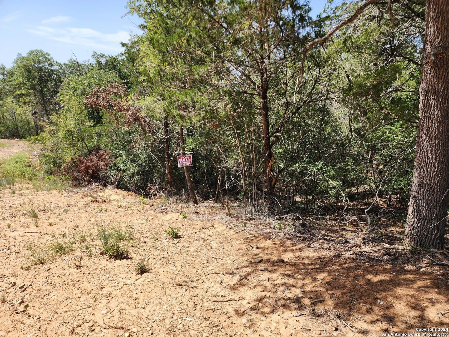 0.29 acres in Bastrop County gallery image 3