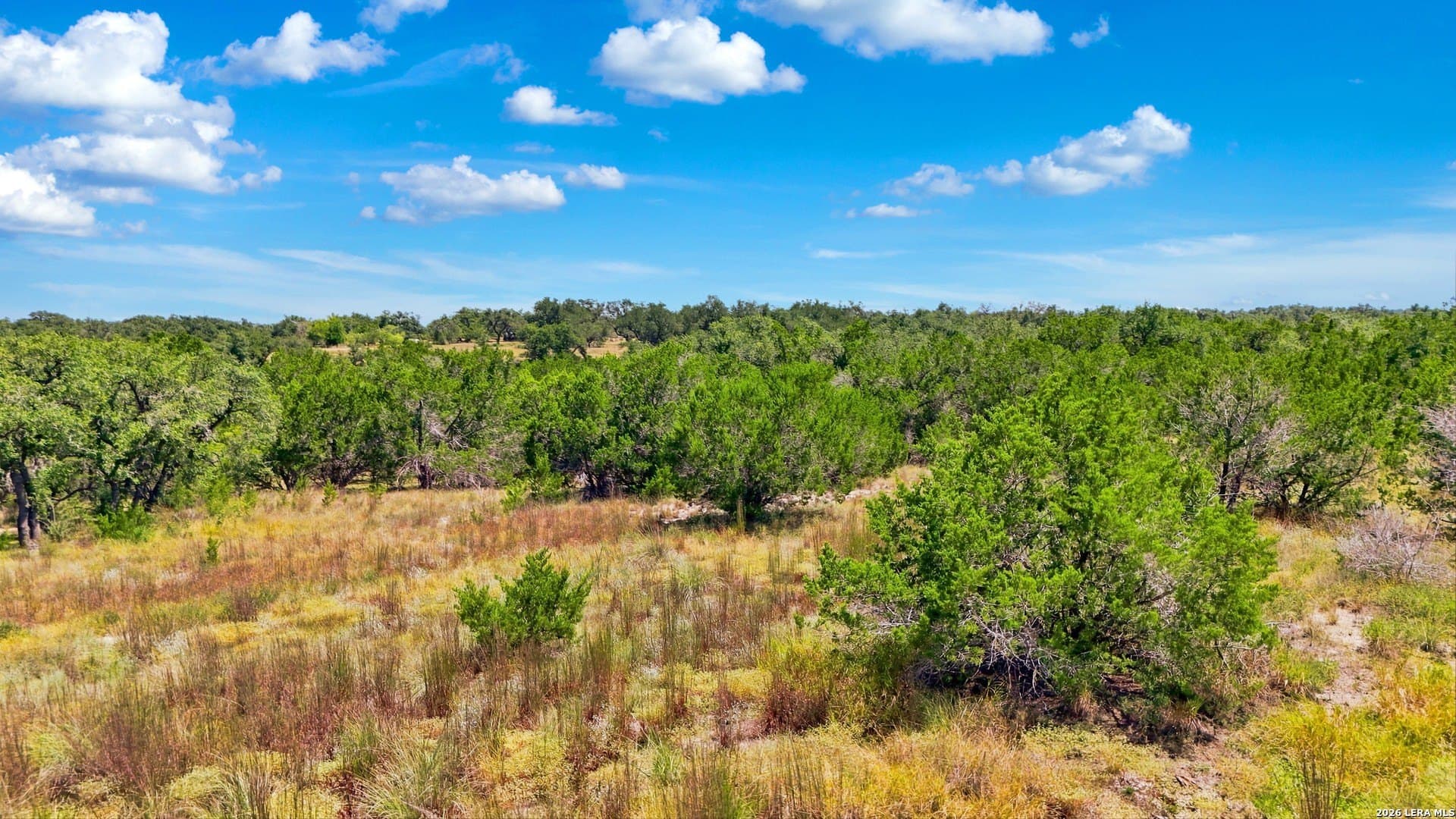 10.04 acres in Comal County - photo 43