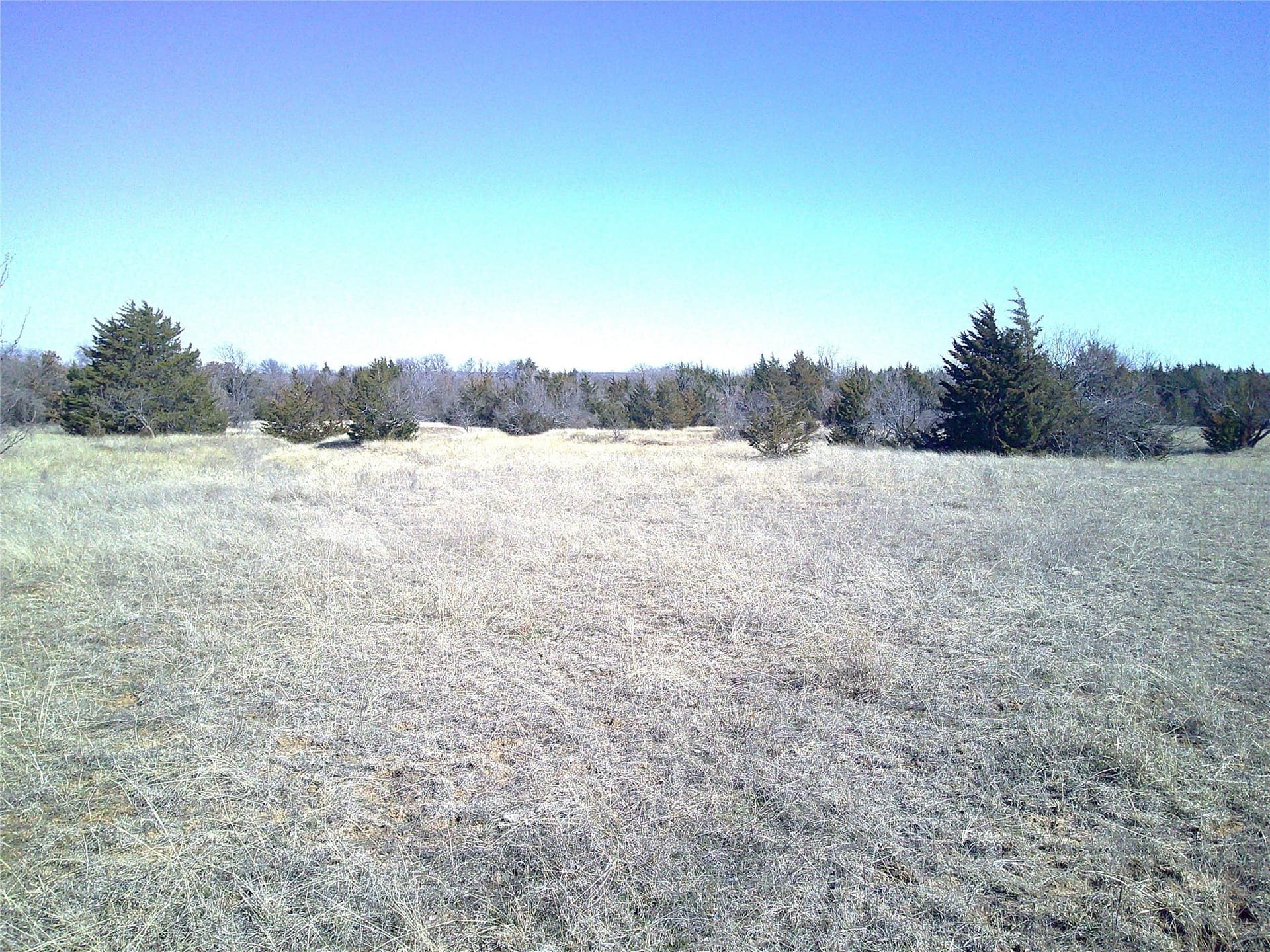11.01 acres in Wise County gallery image 4