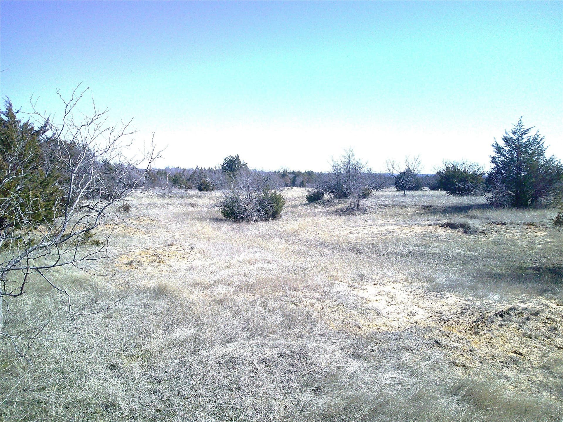 11.01 acres in Wise County gallery image 2