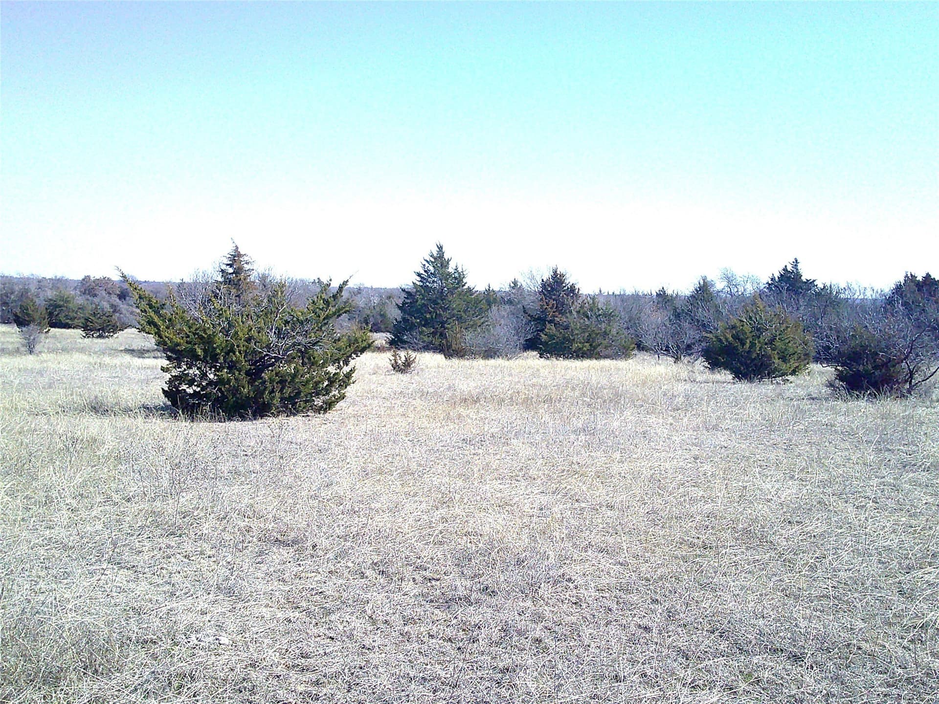11.01 acres in Wise County