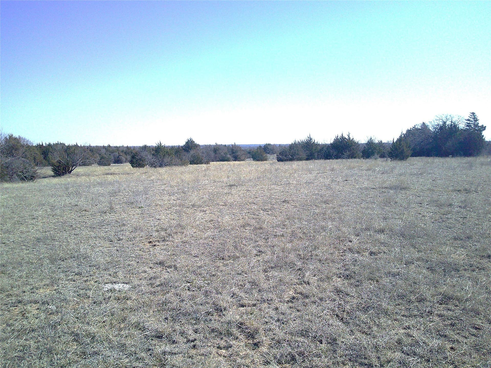 11.01 acres in Wise County gallery image 3