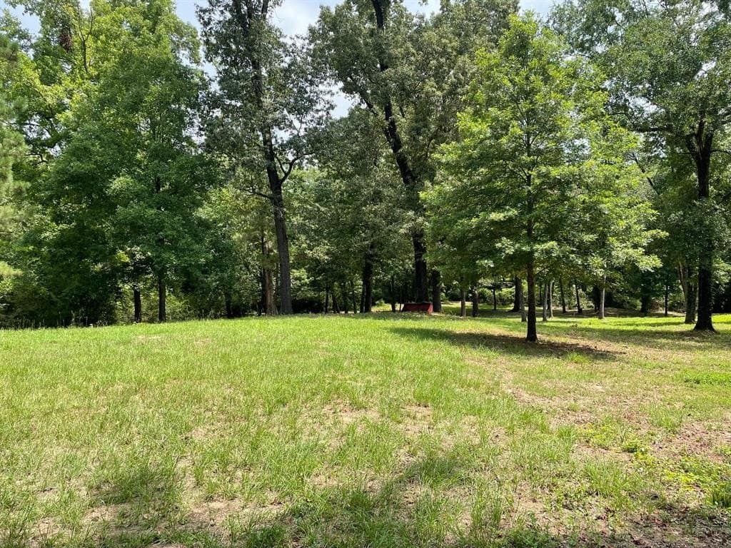 2.24 acres in Camp County gallery image 4