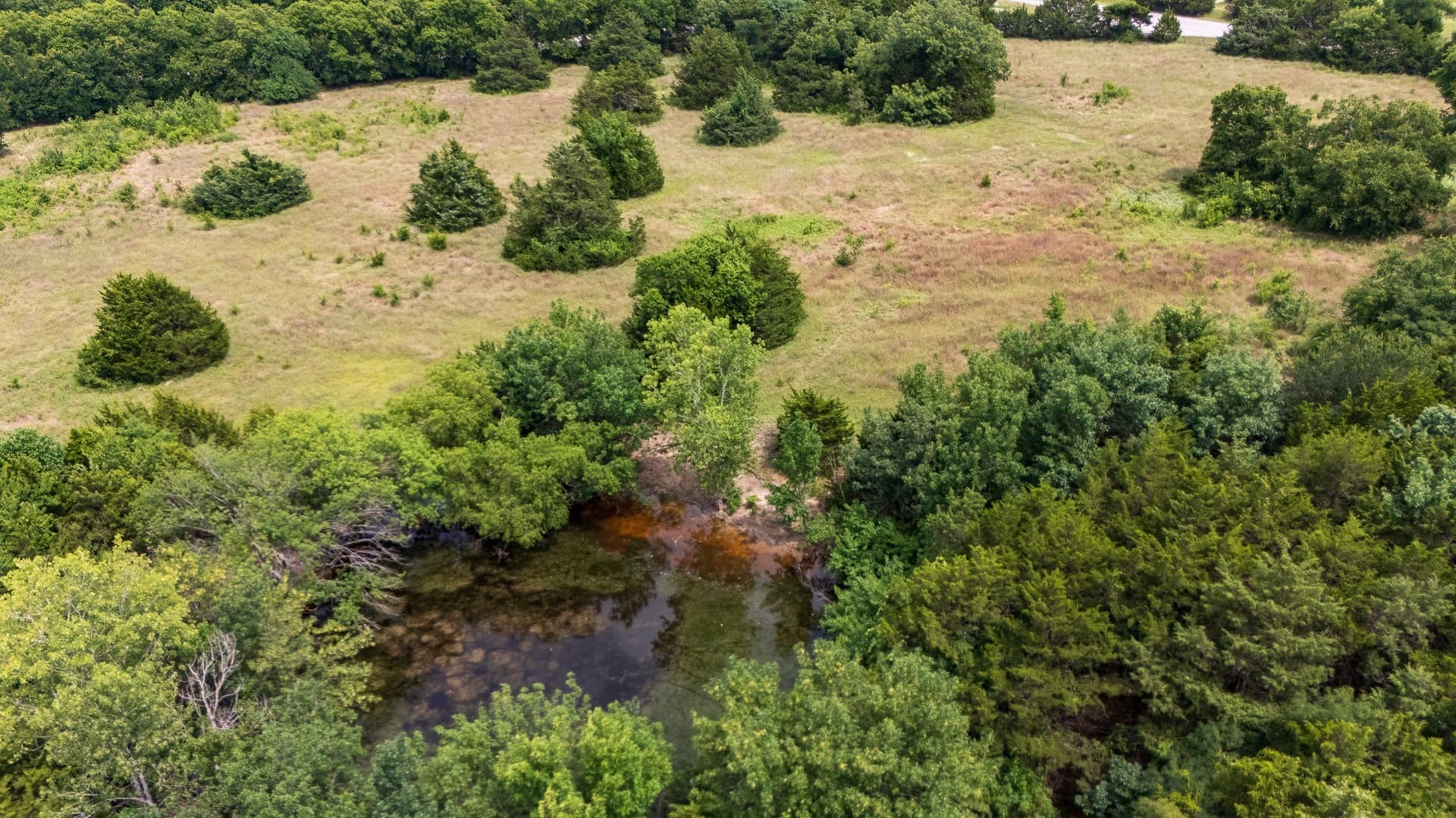 9.11 acres in Collin County - photo 12