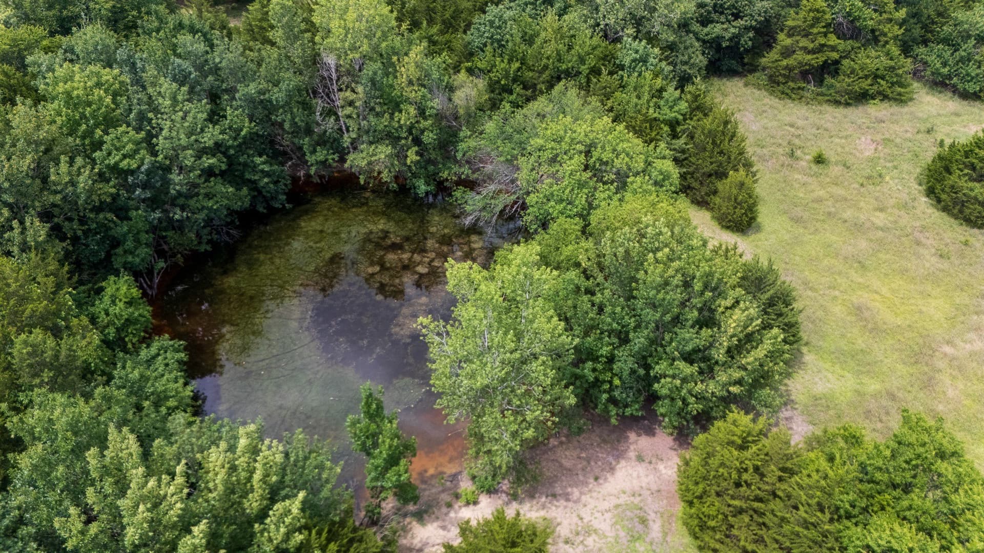 9.11 acres in Collin County gallery image 4