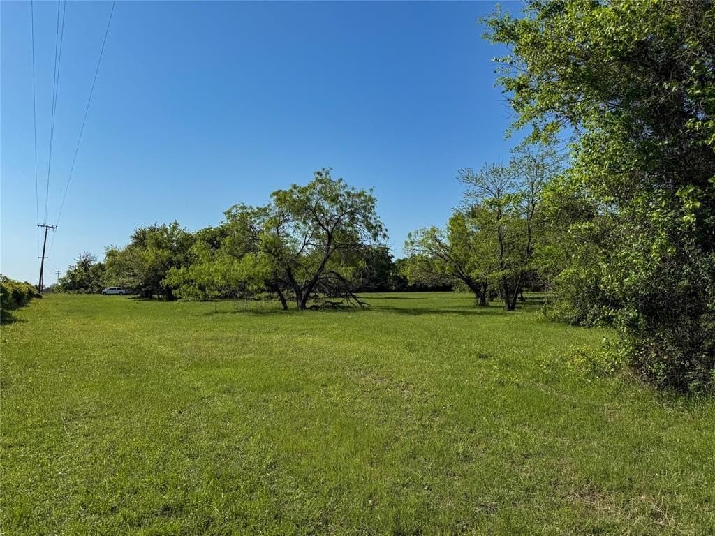 33.8 acres in Milam County gallery image 2