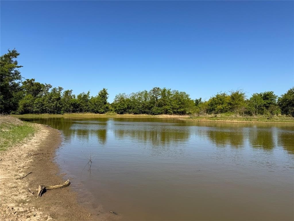 33.8 acres in Milam County gallery image 4