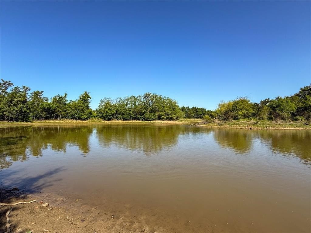 33.8 acres in Milam County featured view