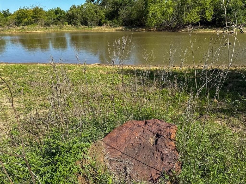 33.8 acres in Milam County gallery image 3