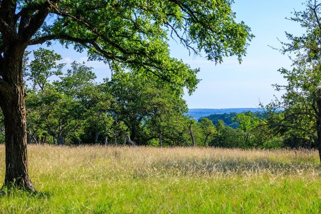 137.99 acres in Gillespie County gallery image 4