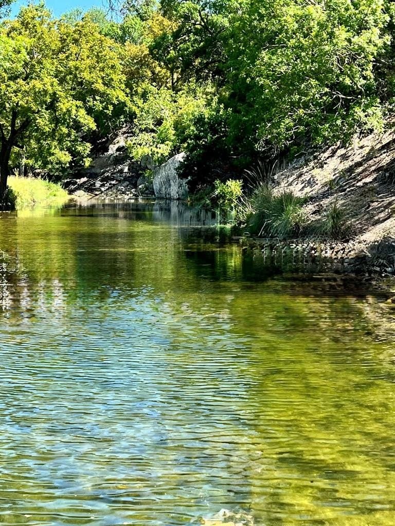 137.99 acres in Gillespie County - photo 18