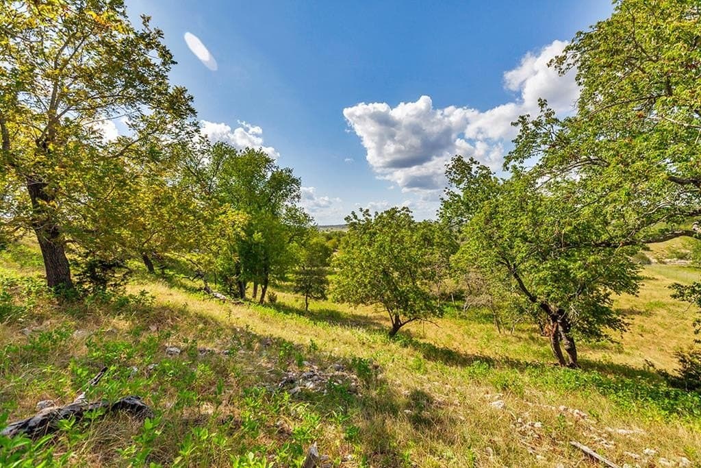137.99 acres in Gillespie County - photo 11